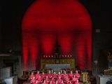 Sommer 2024/t5-dsf9427-st.bonifaz-erlangen-amazingers-20240714